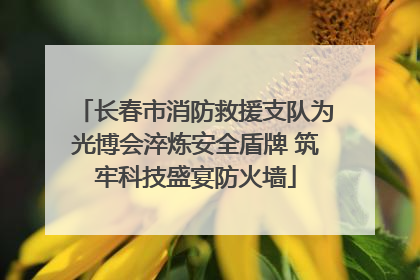 长春市消防救援支队为光博会淬炼安全盾牌 筑牢科技盛宴防火墙